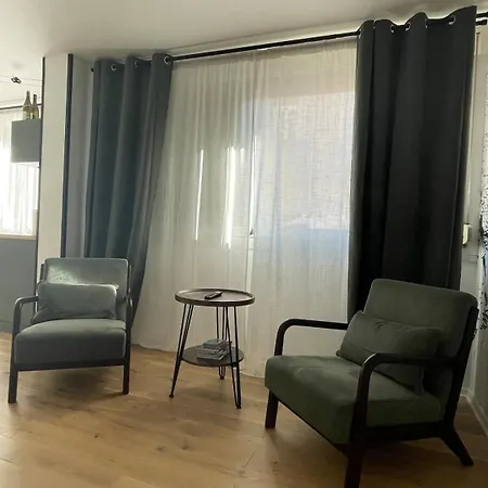 Apartment Le Pinot - Centre-ville - Gare A 5 Mn Dijon