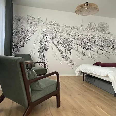 Apartamento Le Pinot - Centre-ville - Gare A 5 Mn