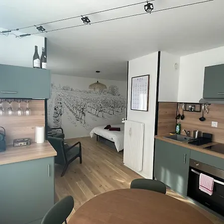 Apartamento Le Pinot - Centre-ville - Gare A 5 Mn *
