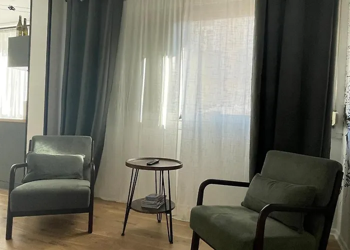 Apartment Le Pinot - Centre-ville - Gare A 5 Mn Dijon